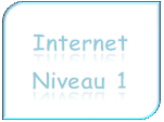 Internet Niveau 1